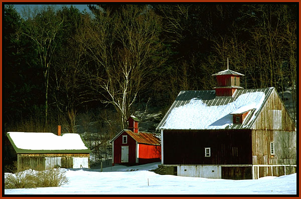 Three barns in winter. New England