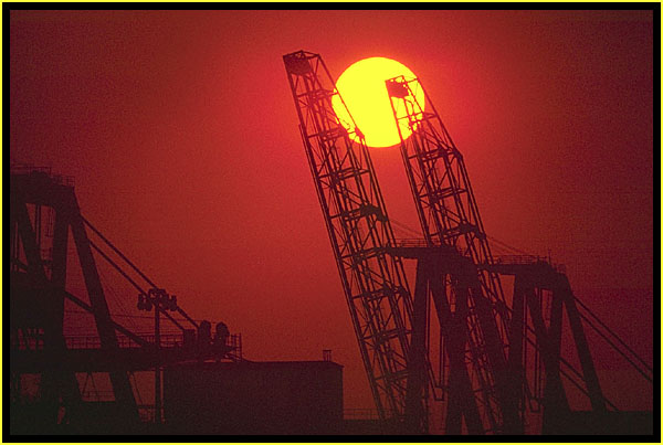 Cranes at sunset.