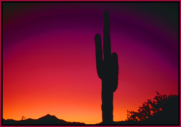 Phoenix sunset. Arizona.