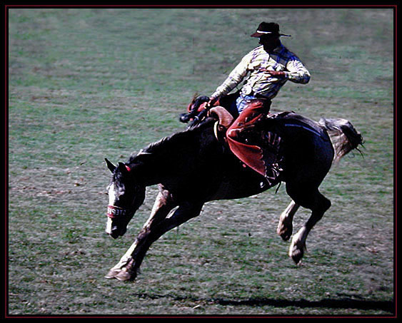 Airborne. A rodeo image.