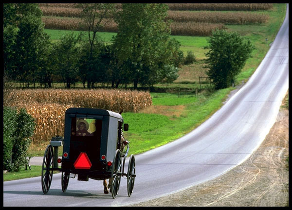 An Amish buggy near Lancaster, PA.