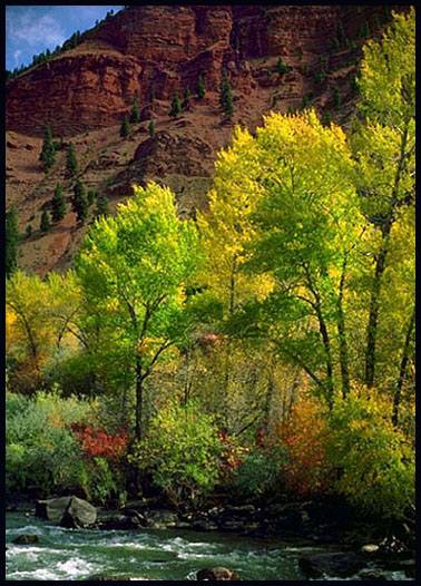 At a stream in Colorado.