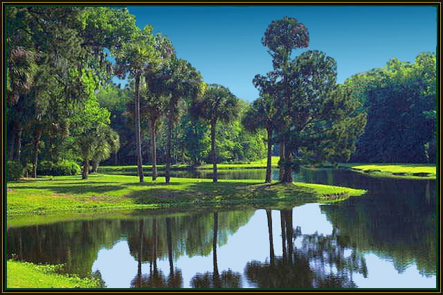 A tropical scene.