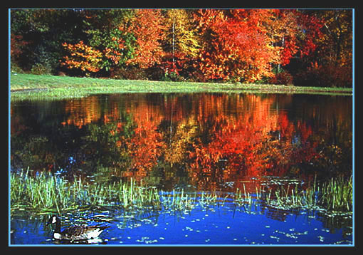 Autumn Reflections. New Jersey