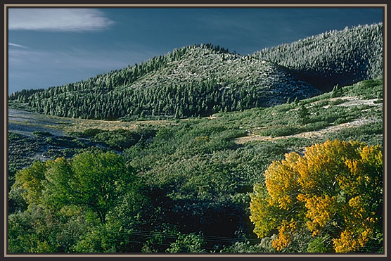 Early frost. Colorado