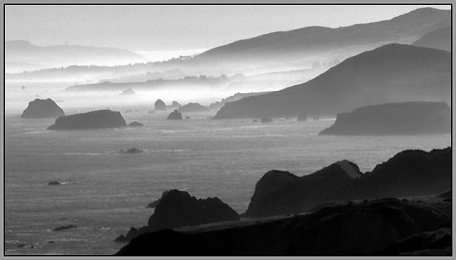 Early morning fog. Northern California coast.