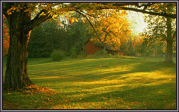 Early morning light. New Jersey