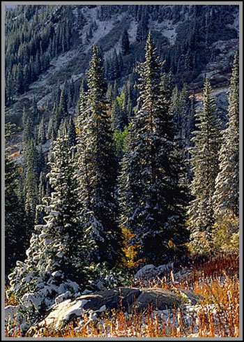 An early winter. Utah