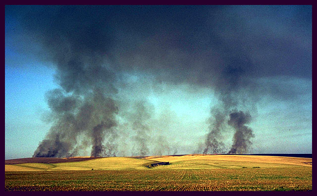 Fire in the Wheatfields, Washington State