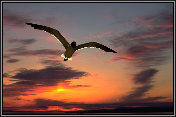 Two photos digitally combined.