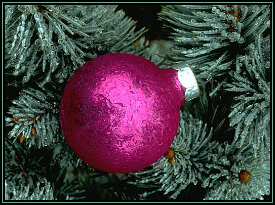 A frozen ornament.