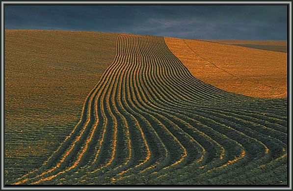 Furrows