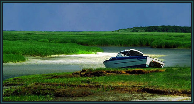 A scene on Cape Cod, MA.