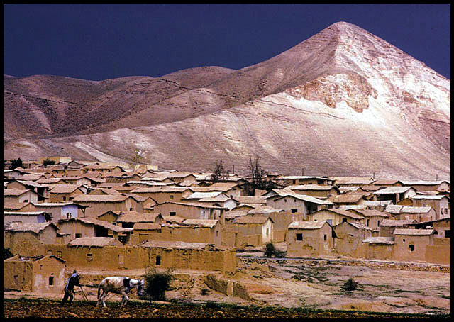 A scene in Jericho, Israel.