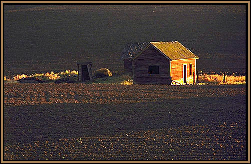 Last light of the day.
