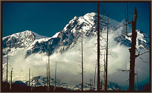 Majestic Mt. Rainier, Washington