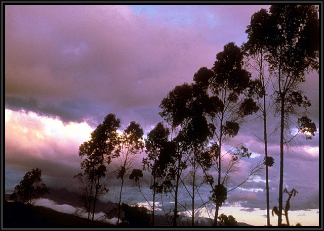 Purple sky.