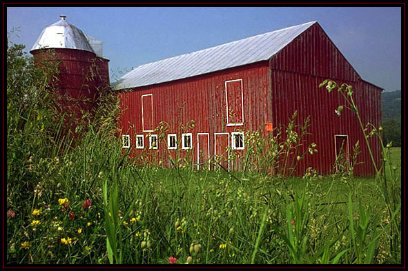 Red barn in summer. New Jersey.