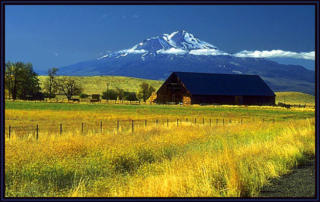 A view of Mt. Shasta, California