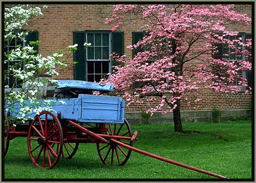 Signs of spring. Harper's Ferry, WVA