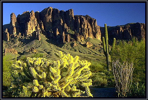 The Arizona desert, near Apache Junction.