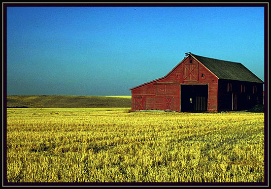 A barn in the Oregon wheatfields.