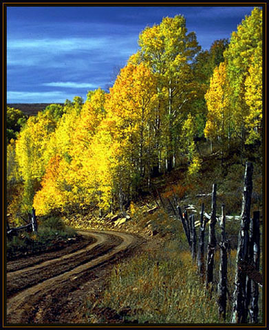 The bend in the road. Utah