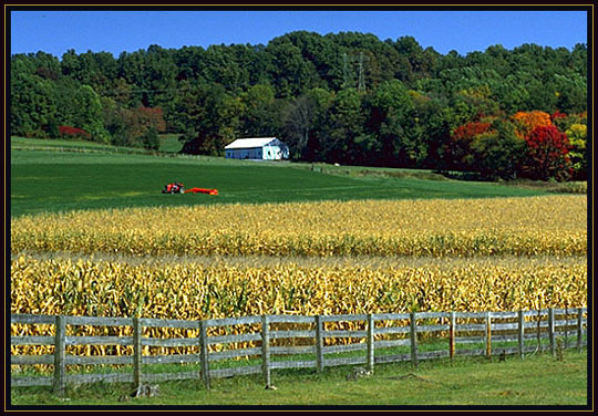 A Pennsylvania farm scene.