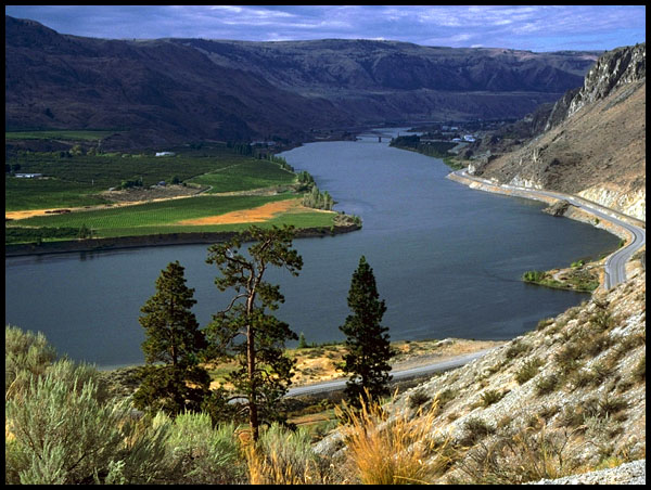 A view along the upper Columbia River, Washington